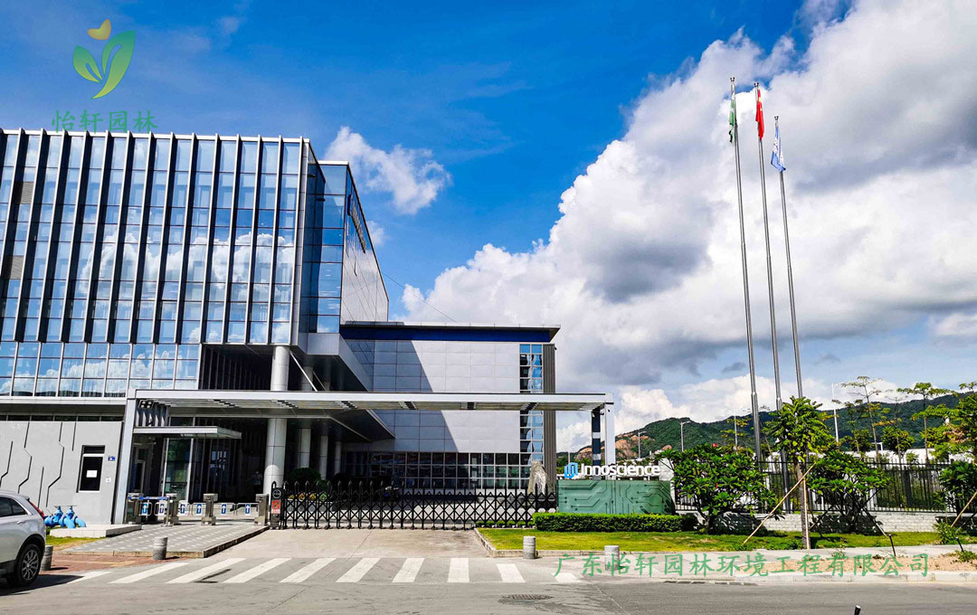 珠海市英諾賽科企業綠化工程改造施工案例圖