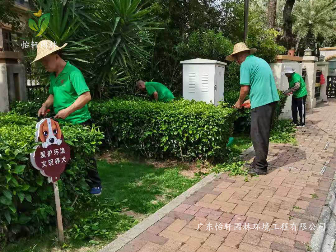 深圳龍華觀湖園別墅小區綠化養護