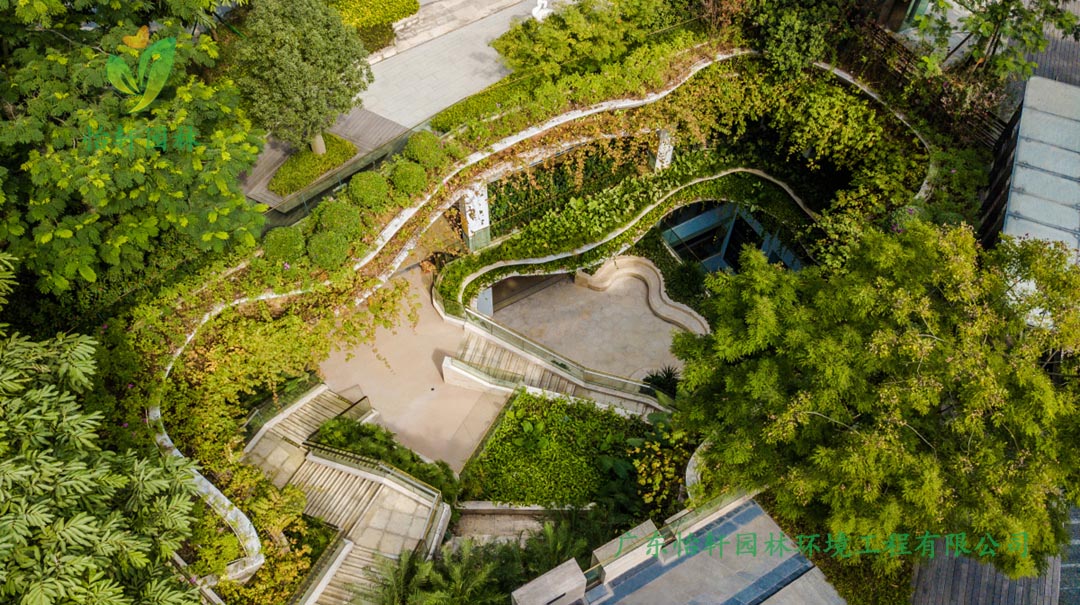 怡軒園林深圳博林天瑞小區綠化景觀設計實景圖