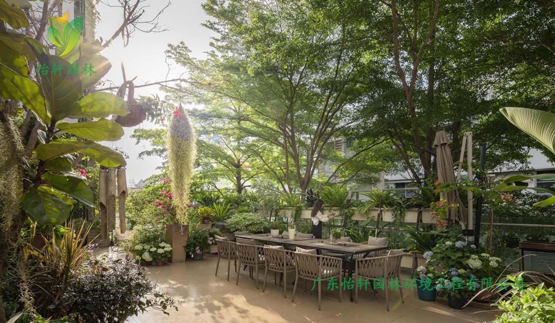 創意園7號樓屋頂花園綠化工程施工改造實景圖