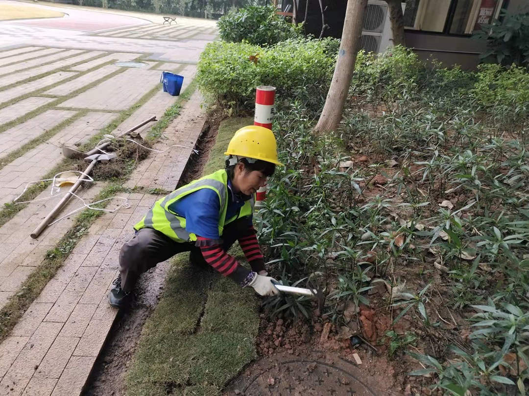 小區綠化養護補植