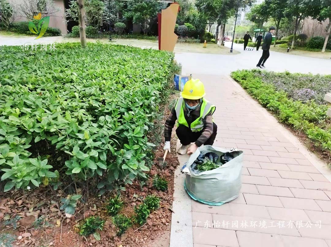 廣州雪域瀾庭小區綠化養護工作現場圖